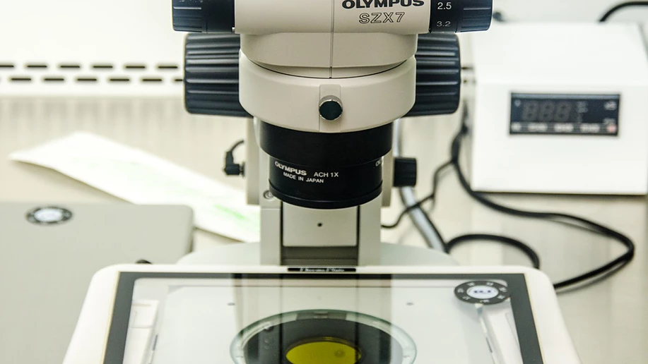 Dr Jephat Moyo | Bart Centre