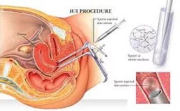 Dr Jephat Moyo | Bart Centre